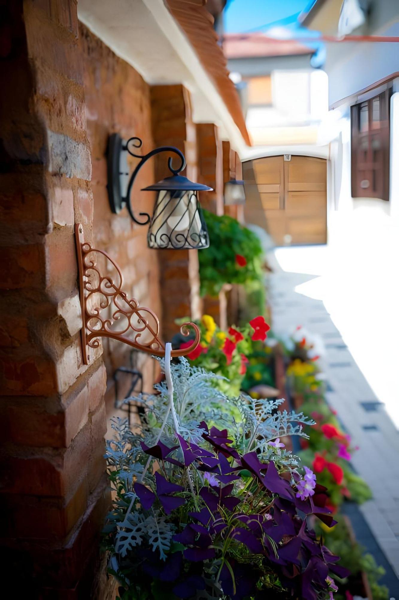 Cochet House Sibiu Aparthotel Bagian luar foto
